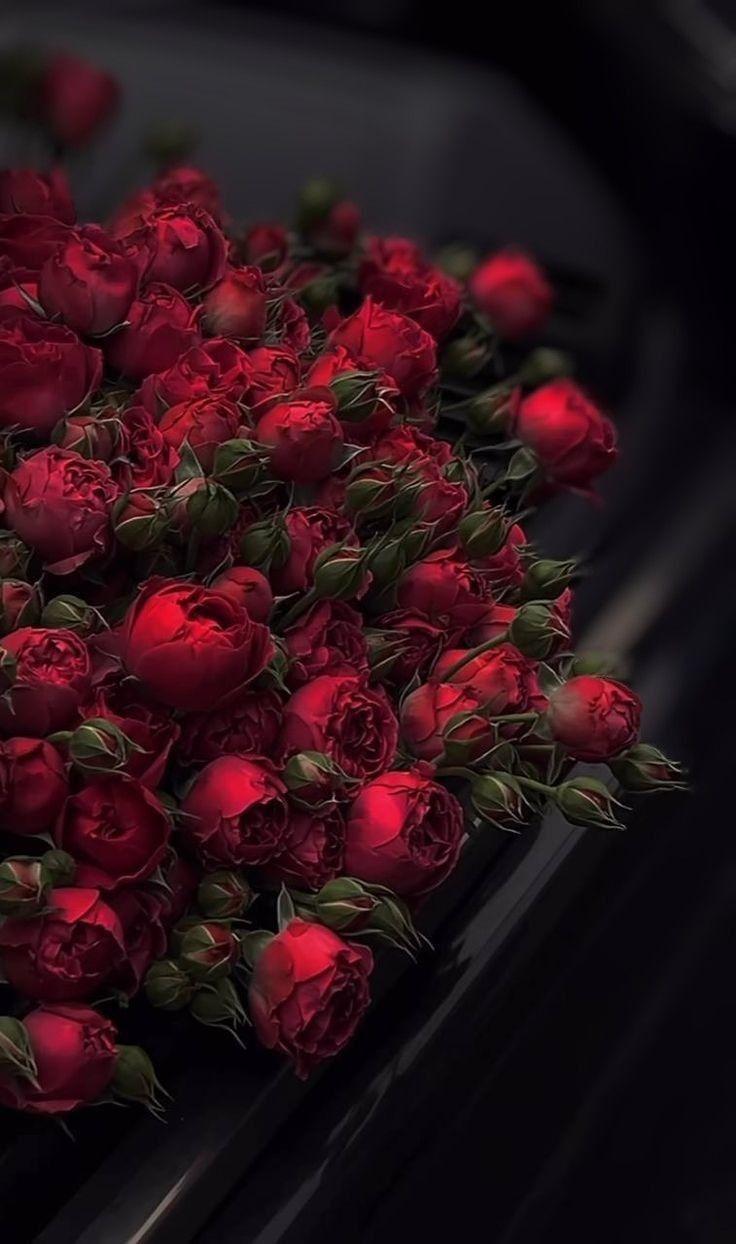 Enchanted Garden Freshness Bouquet