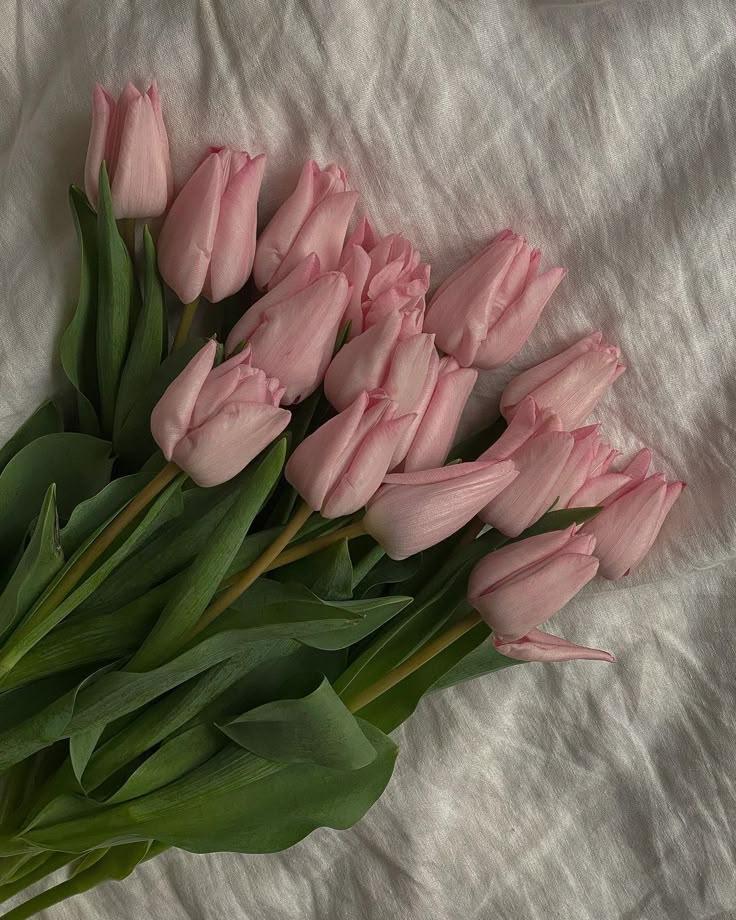 Serenity Whisper Soft Tones Bunch